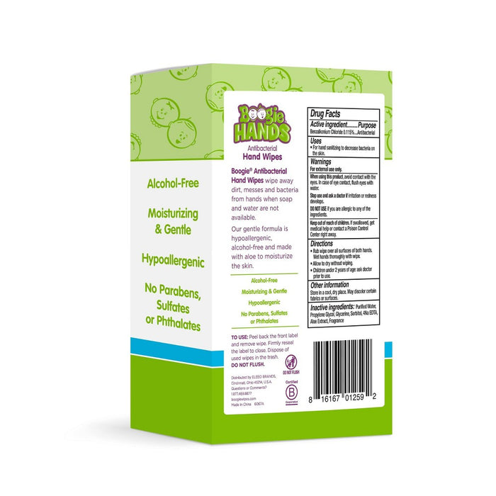 Boogie Hand Sanitizing Wipes - 40ct/2pk