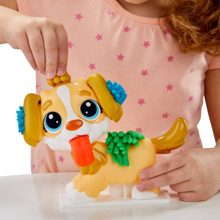Play-Doh Care 'N Carry Vet