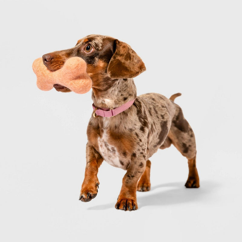 AWOO Bones About It Dog Toy - Peach