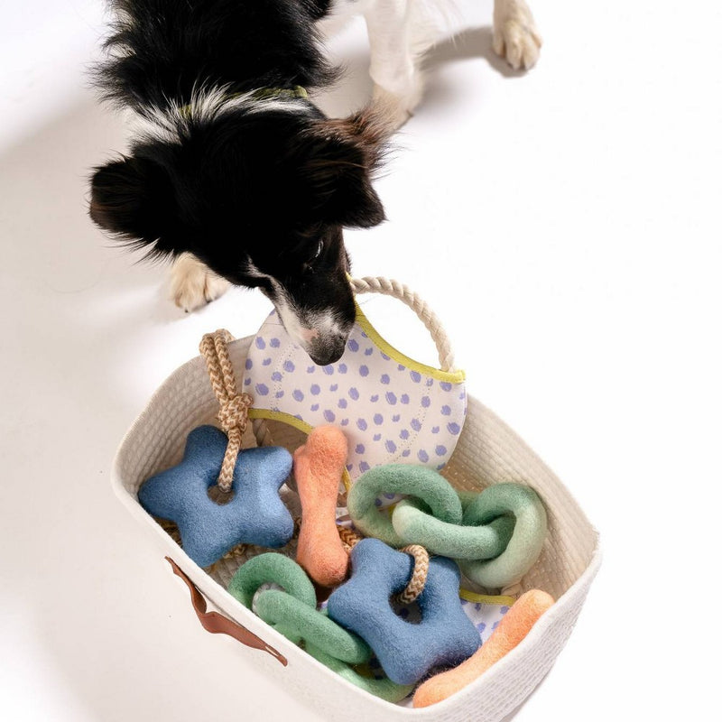 AWOO Bones About It Dog Toy - Peach