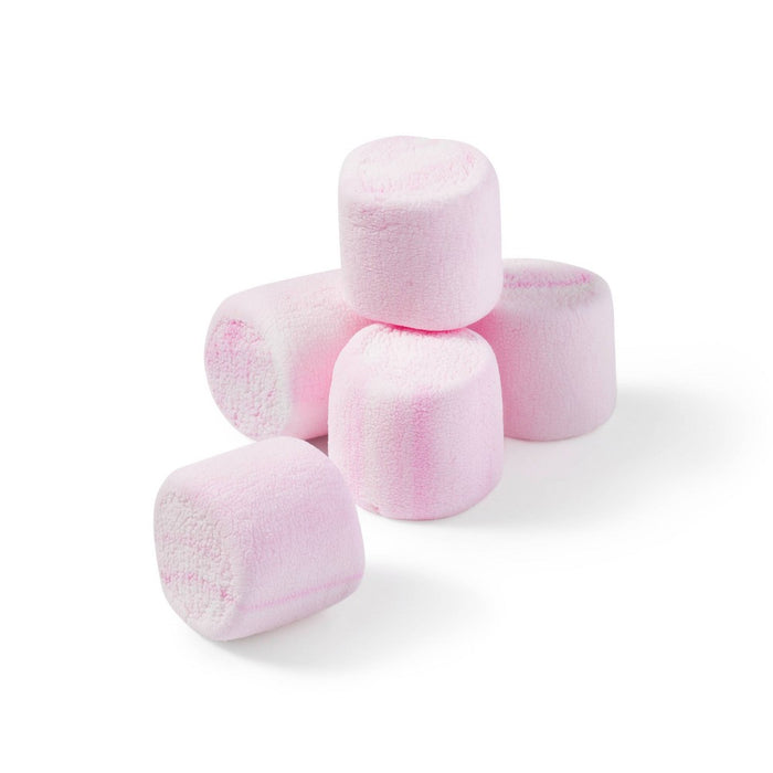 Holiday Peppermint-Flavored Marshmallows - 8oz - Favorite Day