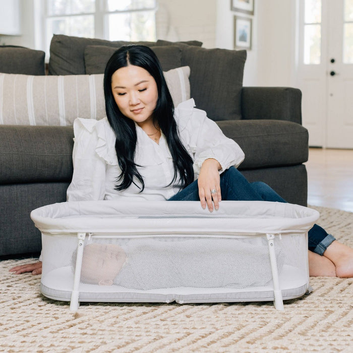 Baby Delight Snuggle Nest Portable Infant Bassinet - Driftwood Gray