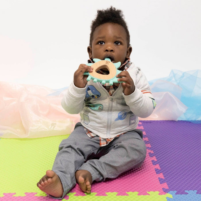 Hape Hedgehog Teether