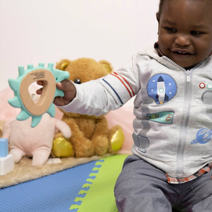 Hape Hedgehog Teether