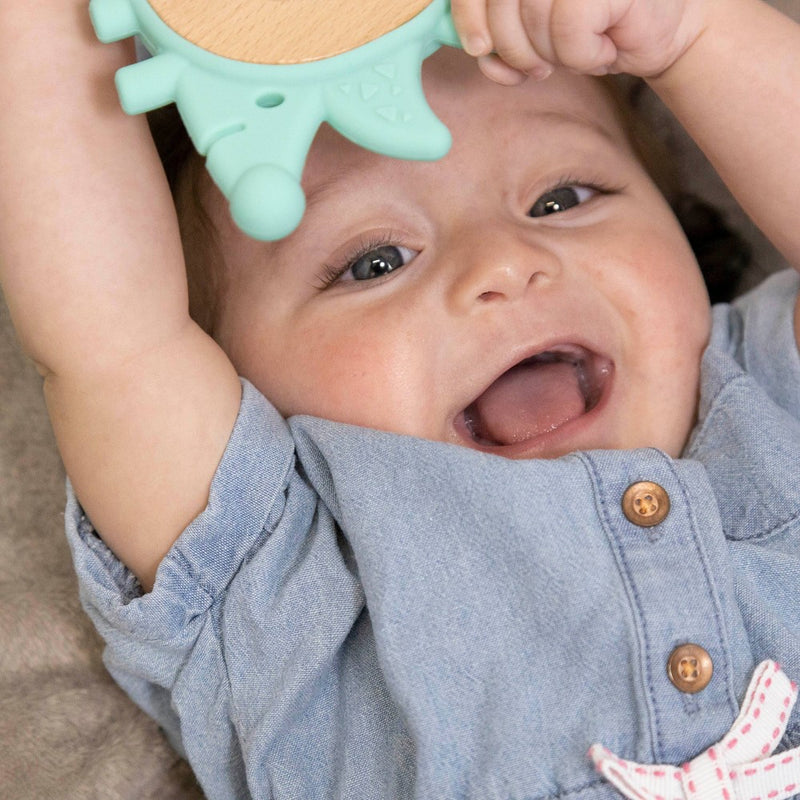 Hape Hedgehog Teether