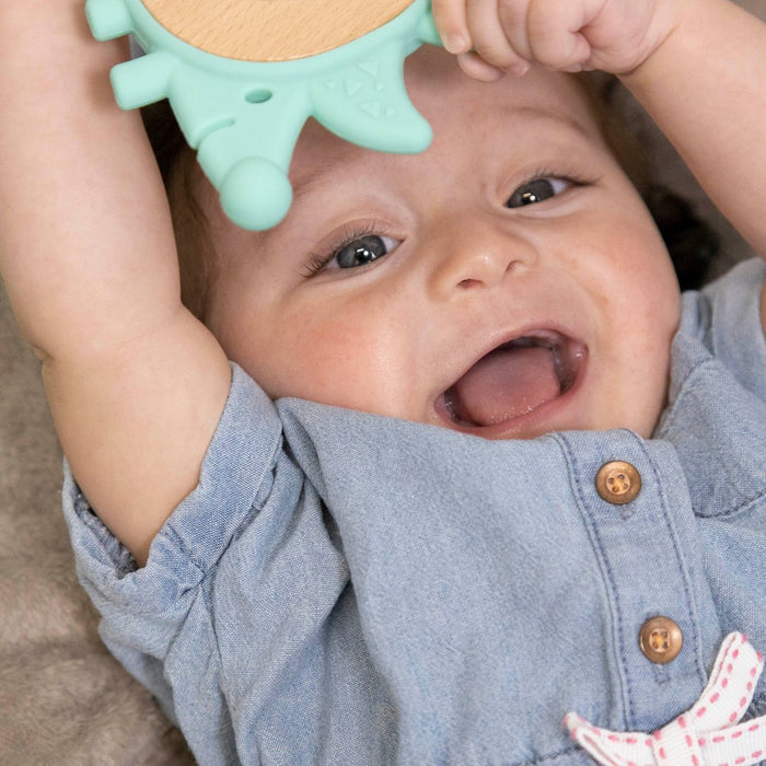 Hape Hedgehog Teether