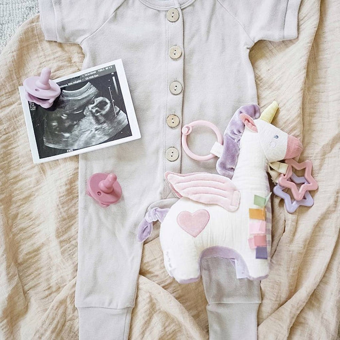 Itzy Ritzy Link & Love Activity Plush with Teether - Pegasus