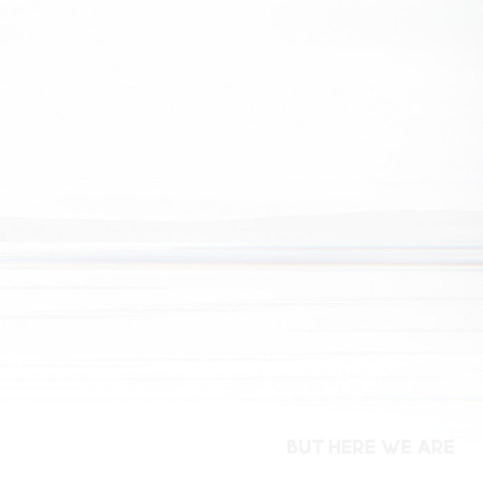 Foo Fighters - But Here We Are (Vinyl)