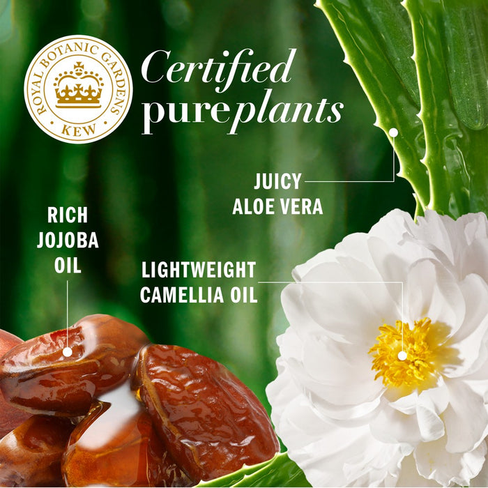 Herbal Essences Jojoba Oil Bio Renew Conditioner - 13.5 fl oz