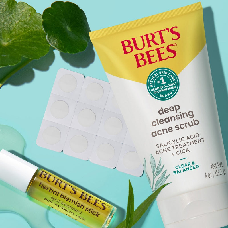 Burt's Bees Clear and Balanced Herbal Blemish Stick - 0.26 fl oz