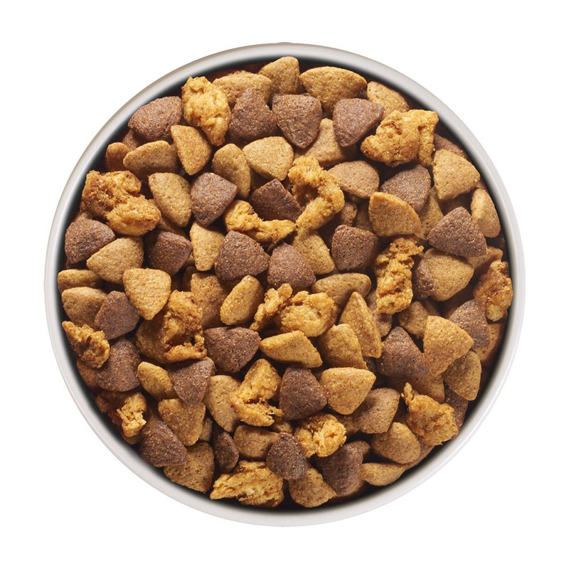 Purina ONE SmartBlend Digestive Health with Probiotics Chicken Adult Dry Dog Food - 8lbs