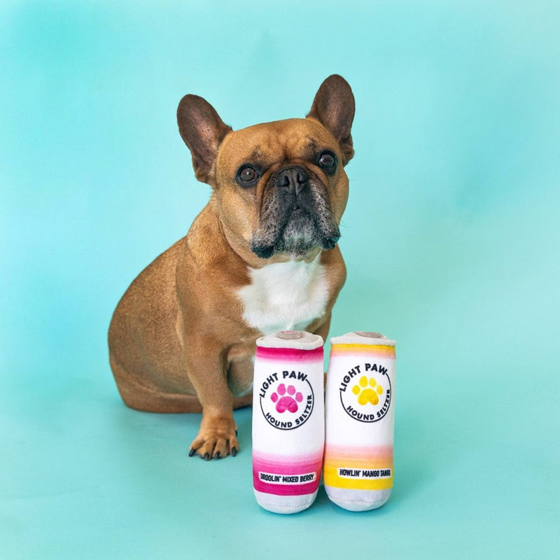PetShop by Fringe Studio Light Paws Cans To Go Dog Toy Set - 2pc