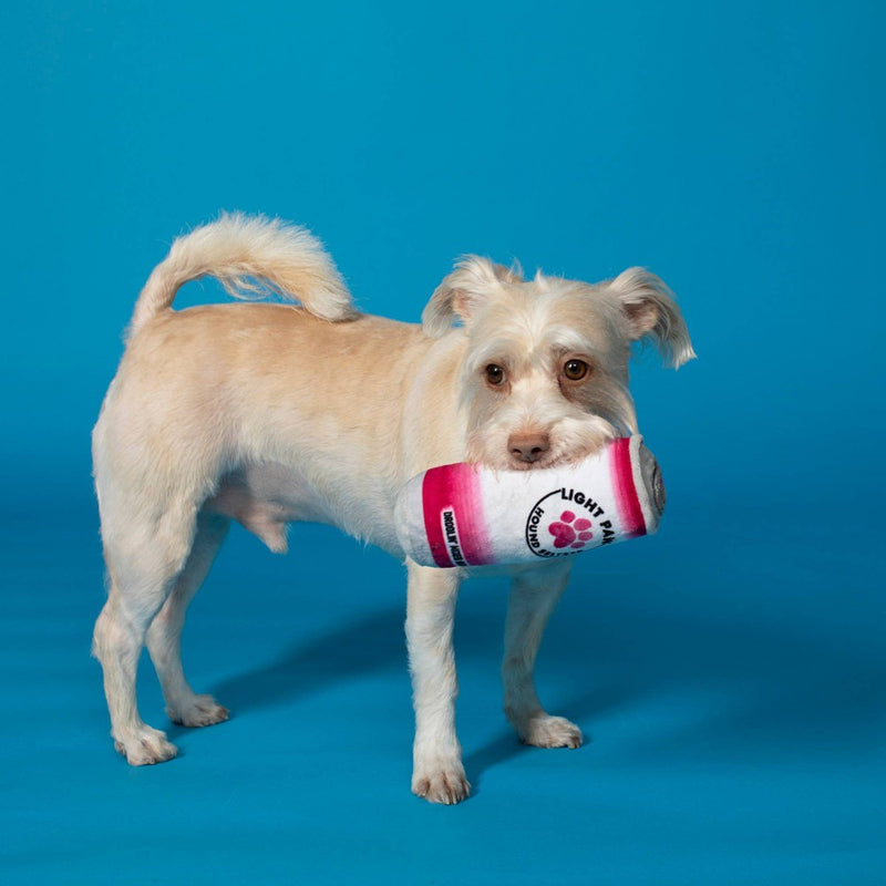 PetShop by Fringe Studio Light Paws Cans To Go Dog Toy Set - 2pc