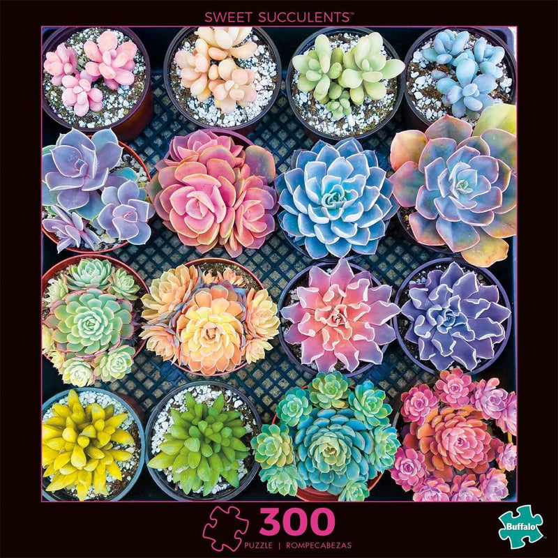 Buffalo Games Photography: Sweet Succulents Jigsaw Puzzle - 300pc