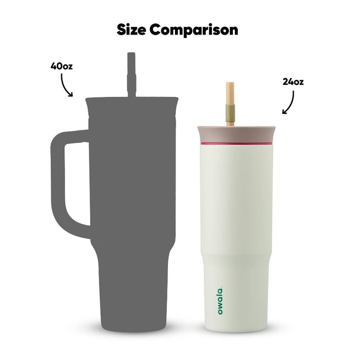 Owala 24oz Stainless Steel Straw Tumbler - Alpine Sport