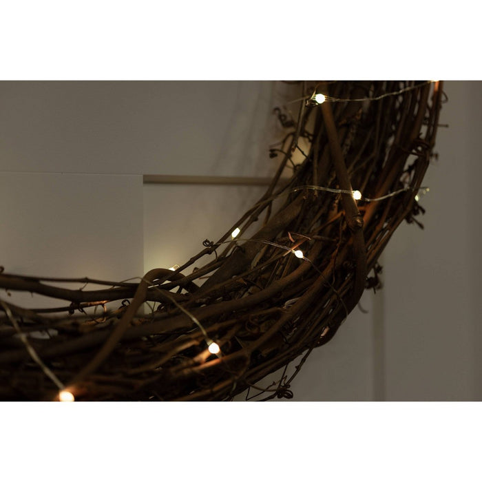 Enbrighten 20' Basics Series String Fairy Lights