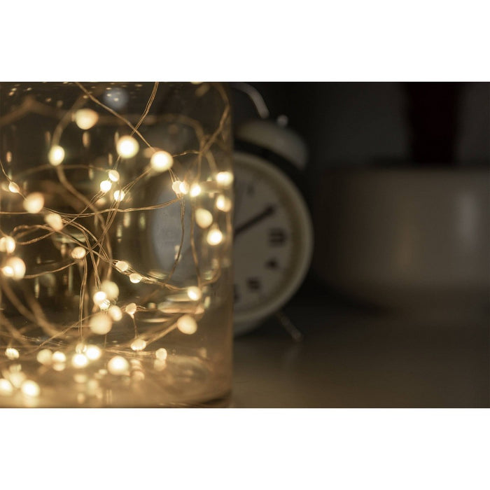 Enbrighten 20' Basics Series String Fairy Lights