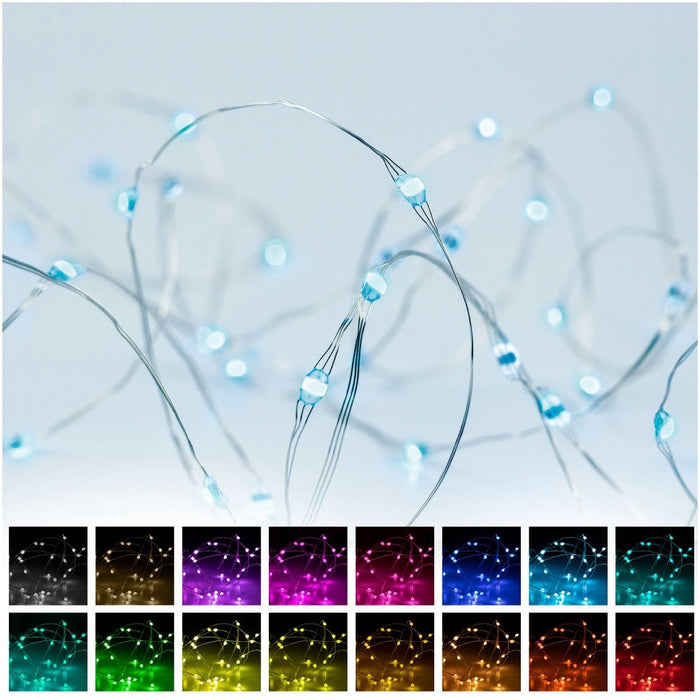 Enbrighten 20' Basics Series String Fairy Lights