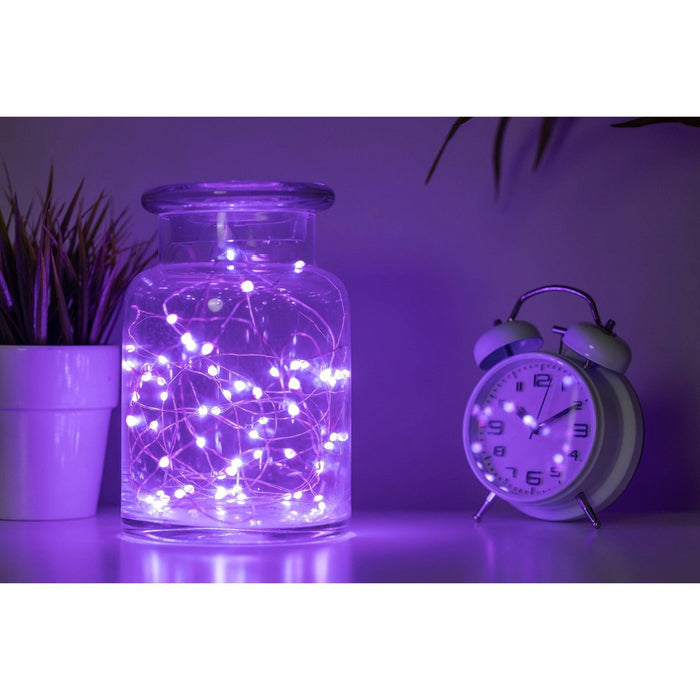 Enbrighten 20' Basics Series String Fairy Lights