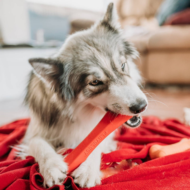 Playology 2.5" Beef Scent Chew Stick Dog Toy - Red - L
