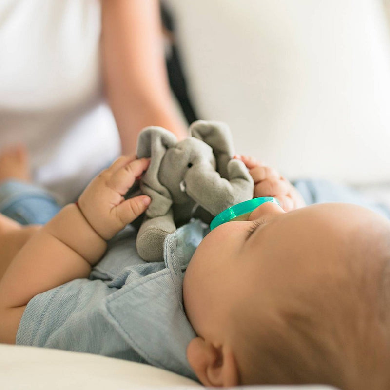 WubbaNub Pacifier - Gray Elephant