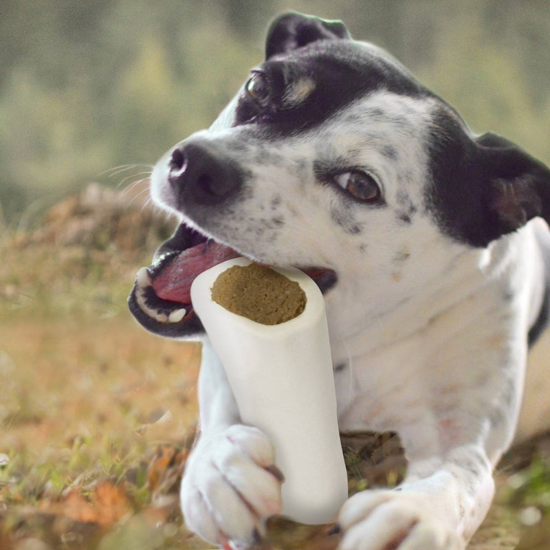 Cadet Stuffed Shin Bone Peanut Butter Dog Treat - 3-4" - 6oz
