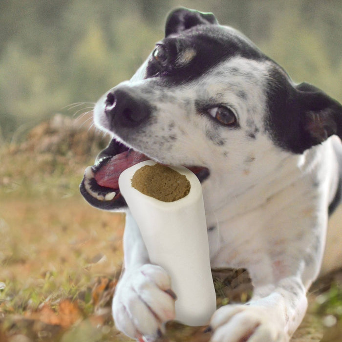 Cadet Stuffed Shin Bone Peanut Butter Dog Treat - 3-4" - 6oz