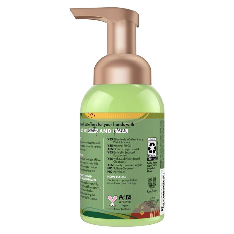 Beloved Cashmere Wood and Sage Foaming Hand Wash - 8 fl oz