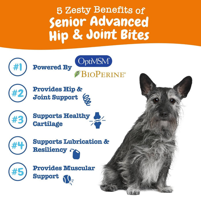 Zesty Paws Senior Advanced Mobility Dog Supplement with Chicken Flavor - 60ct