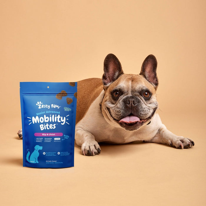 Zesty Paws Senior Advanced Mobility Dog Supplement with Chicken Flavor - 60ct