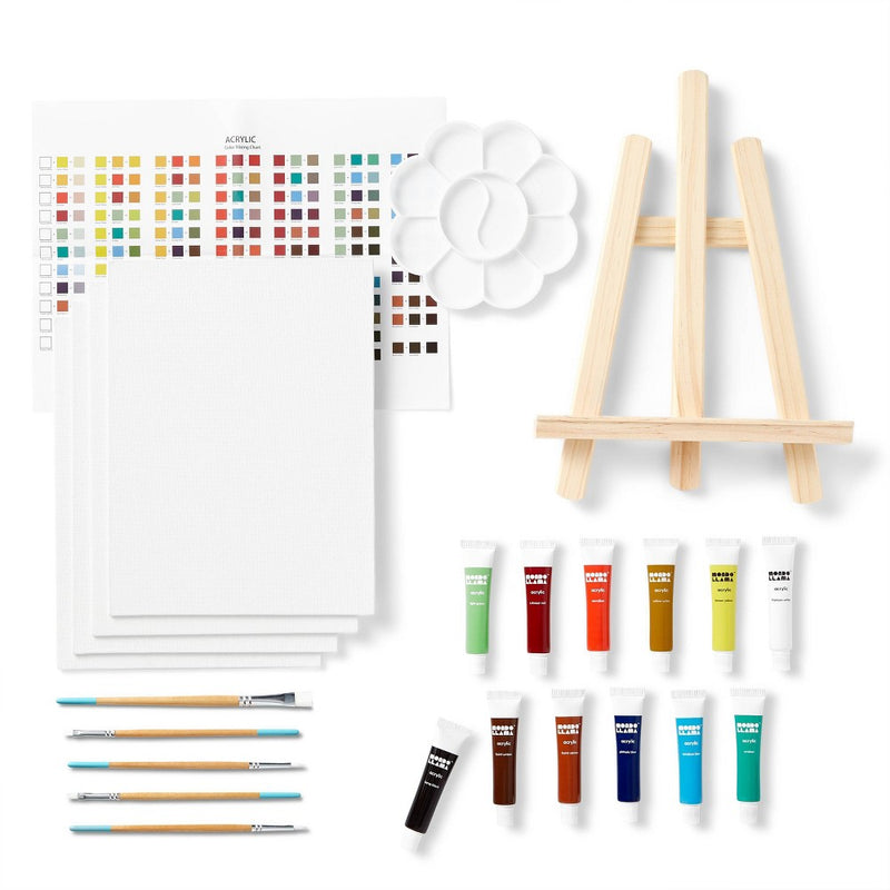 25pc Artist Acrylic Starter Set - Mondo Llama