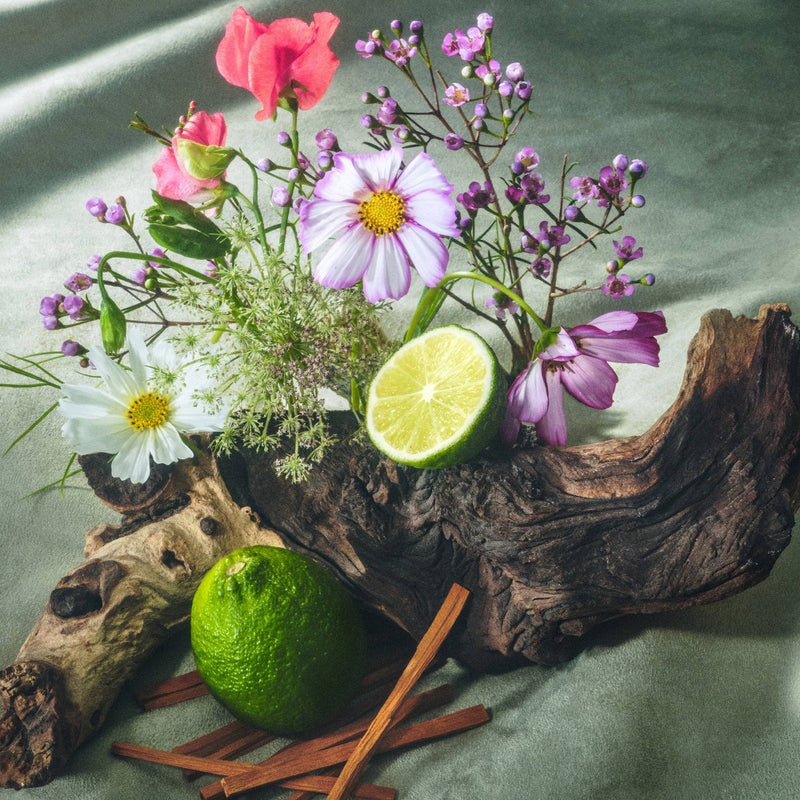 Being Frenshe Hair, Body & Linen Mist Body Spray with Essential Oils - Bergamot Cedar - 5 fl oz