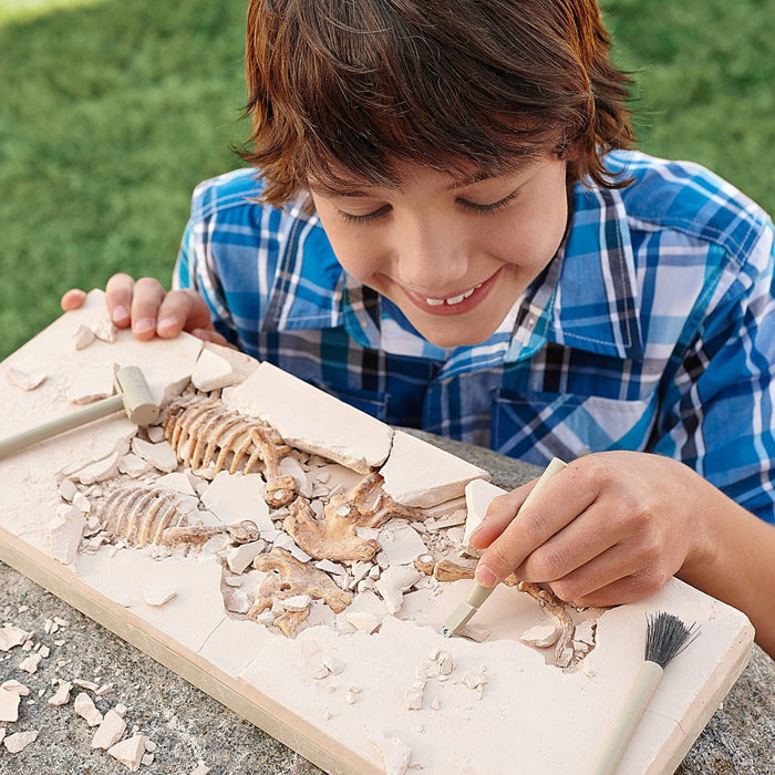 MindWare Dig It Up! Tyrannosaurus Rex 3D Skeleton