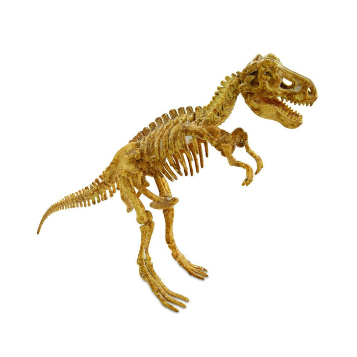 MindWare Dig It Up! Tyrannosaurus Rex 3D Skeleton