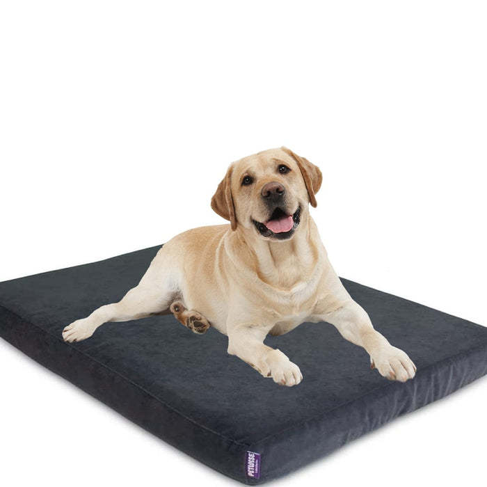 Petwise International - Orthopedic Sertex Fabric Dog Bed - Muscle Relaxer And Soft To Comfort Joints And Muscles Dog Bed (Small - (24In X 16In), Grey)