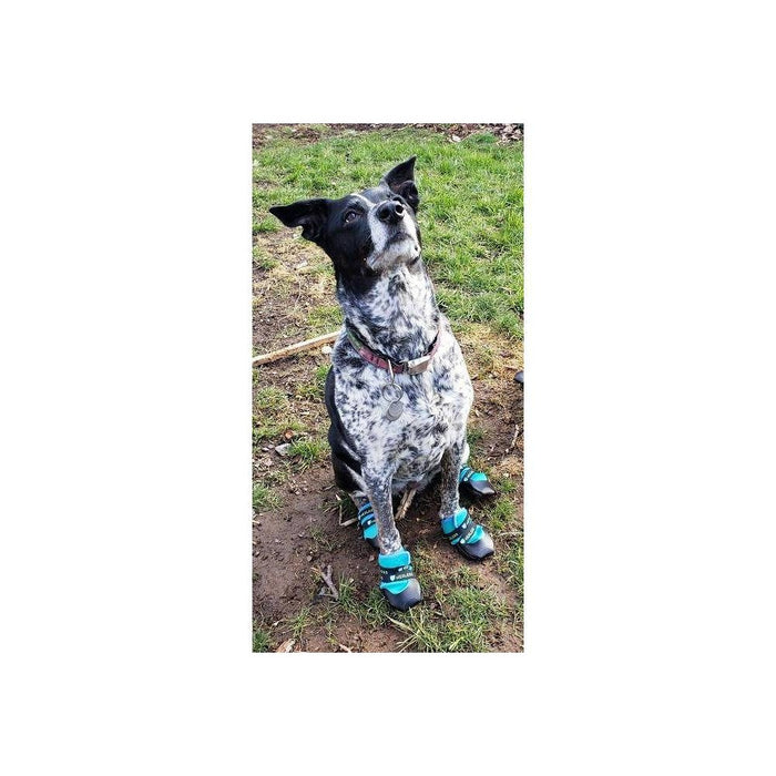 Healers Urban Walker Dog Boots - M/S - Teal