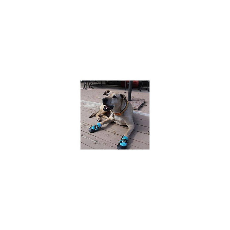 Healers Urban Walker Dog Boots - M/S - Teal
