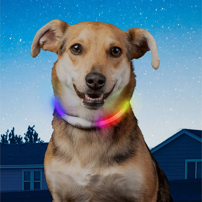 Nite Ize Mini Rechargable LED Safety Necklace Disc-O Adjustable Dog Collar
