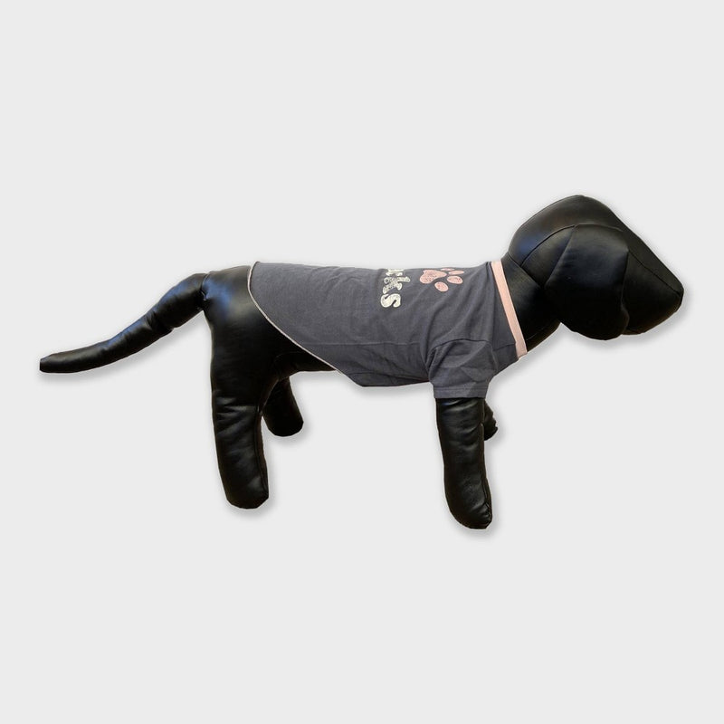 Grayson Pup 'I Paw Snacks' Graphic Dog Tee - Gray - L