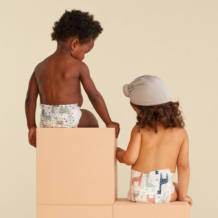 The Honest Company Clean Conscious Disposable Diapers - Four Print Pack- Size 2 - 124ct