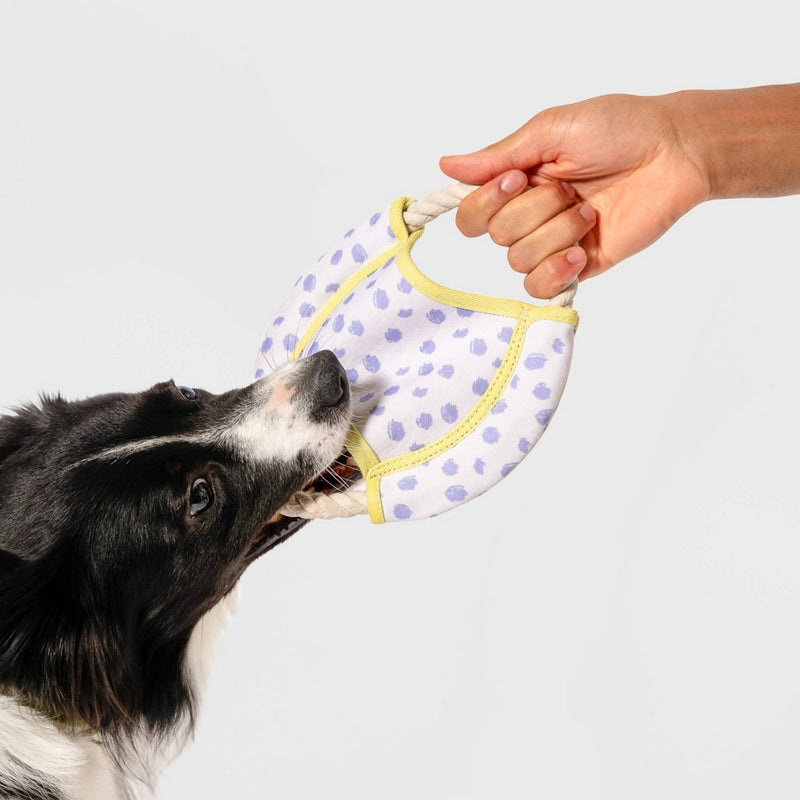 AWOO Dizzy Disc Dog Toy