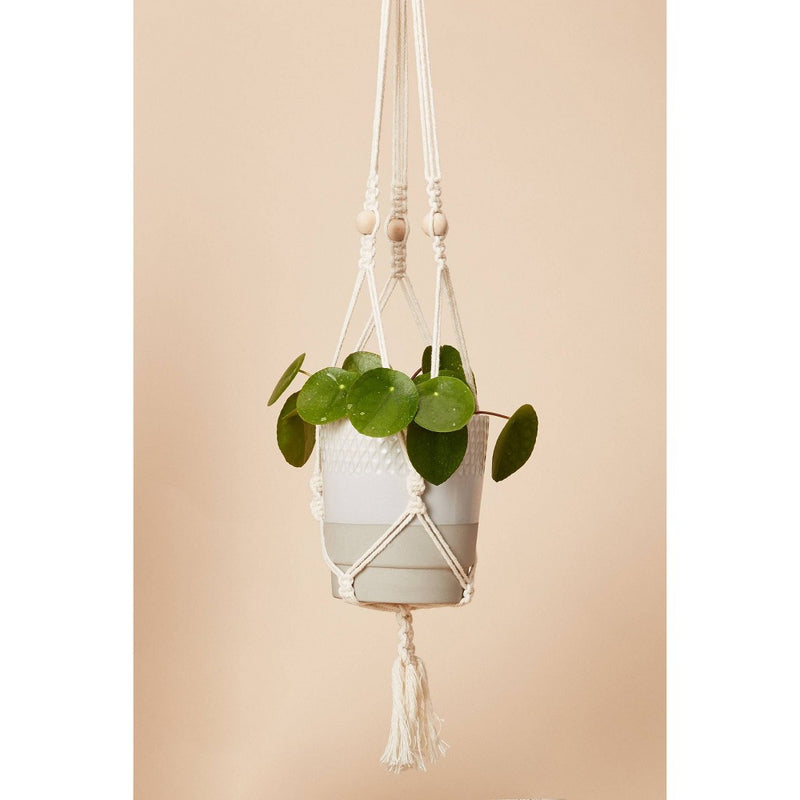 Hang Time DIY Macrame Plant Pot Hanger