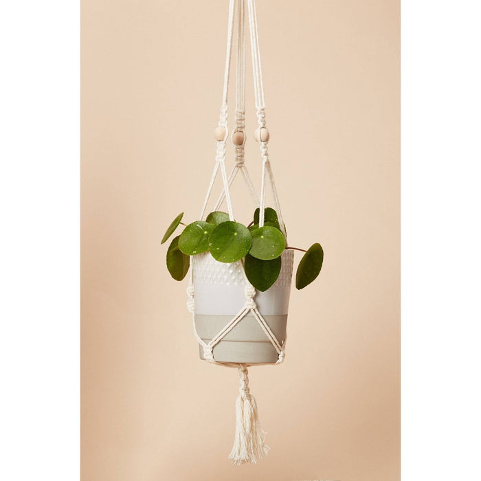 Hang Time DIY Macrame Plant Pot Hanger