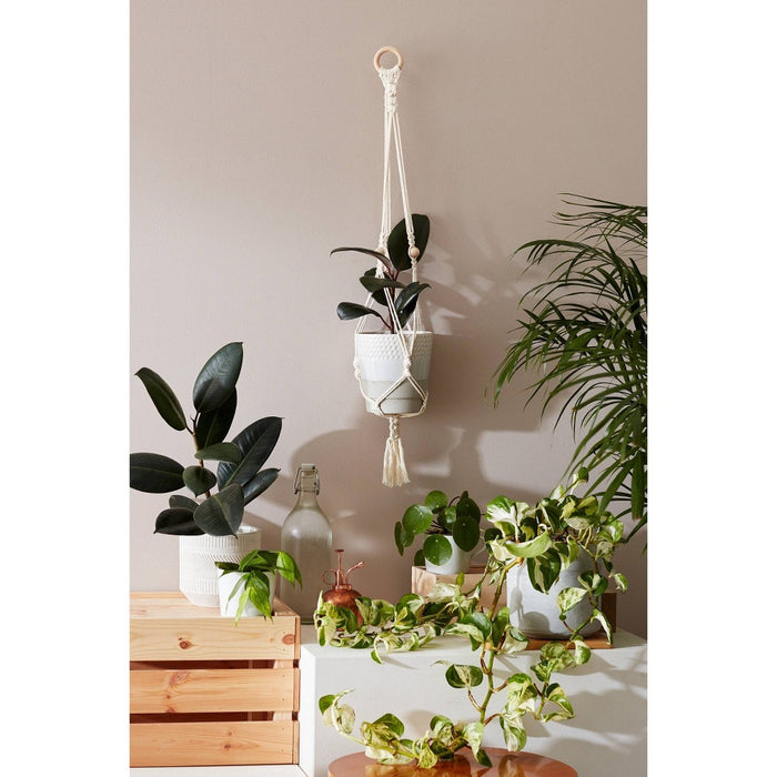 Hang Time DIY Macrame Plant Pot Hanger