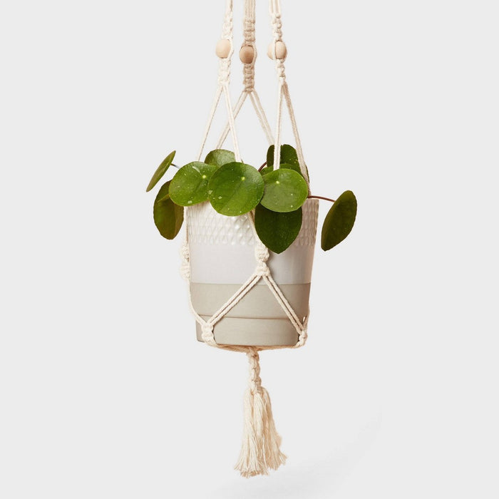 Hang Time DIY Macrame Plant Pot Hanger