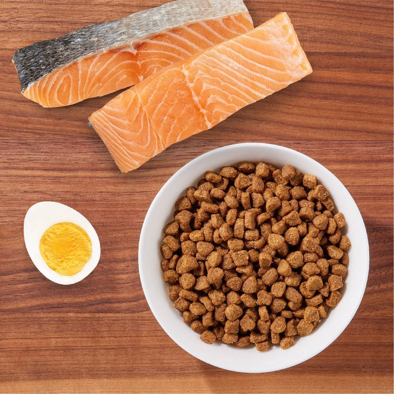 IAMS Proactive Health with Salmon Adult Premium Dry Cat Food - 7lbs