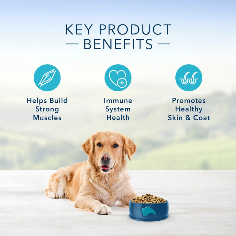 Blue Buffalo Life Protection Formula Natural Adult Dry Dog Food with Chicken and Brown Rice - 5lbs