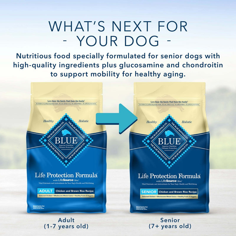 Blue Buffalo Life Protection Formula Natural Adult Dry Dog Food with Chicken and Brown Rice - 5lbs
