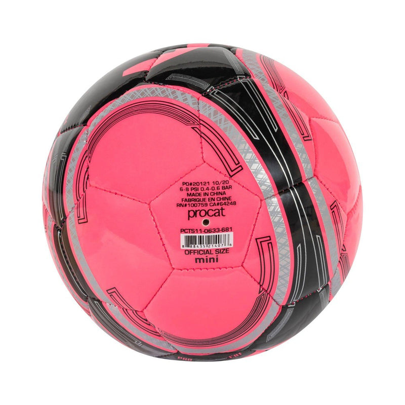 ProCat Size 1 Mini Ball - Pink