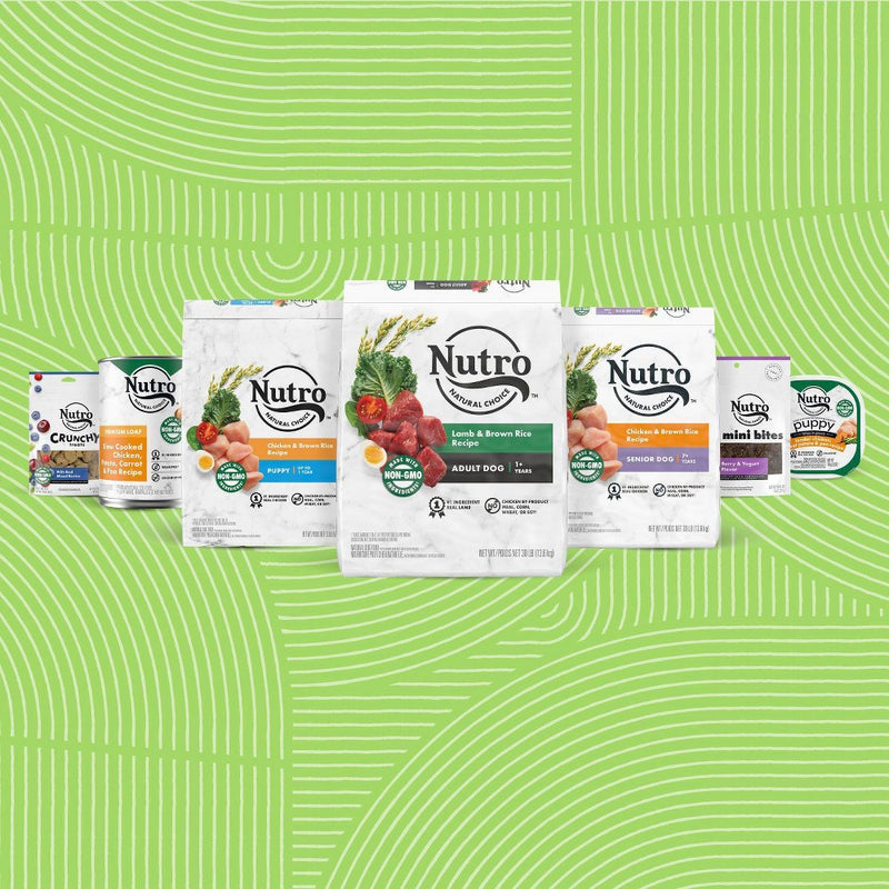 NUTRO Natural Choice Chicken and Brown Rice Recipe Adult Dry Dog Food - 5lbs